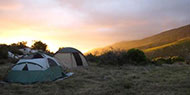 camp 2