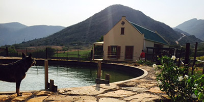 chalet pool